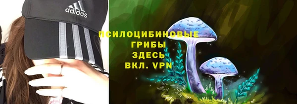 сатива Арсеньев