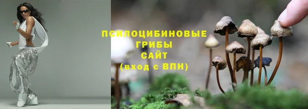 спиды Армянск