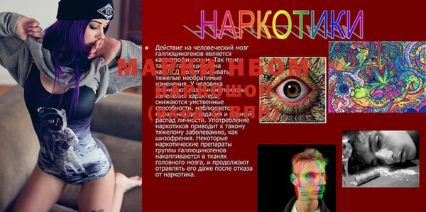 ECSTASY Аркадак